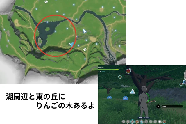 ホロアース　りんごの木生えている場所のマップ説明