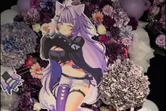 holo_va41